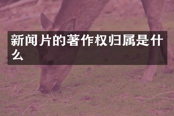新闻片的著作权归属是什么