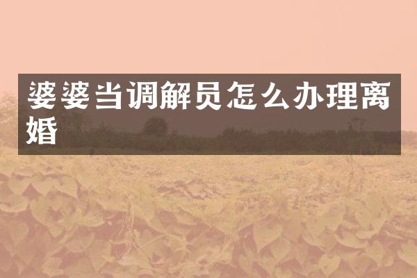 婆婆当调解员怎么办理离婚