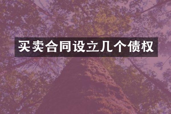 买卖合同设立几个债权