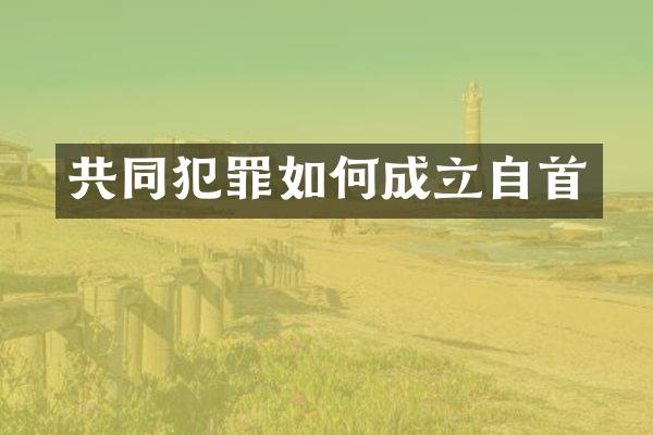 共同犯罪如何成立自首