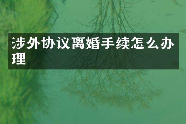 涉外协议离婚手续怎么办理