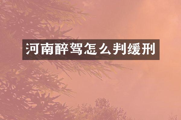 河南醉驾怎么判缓刑