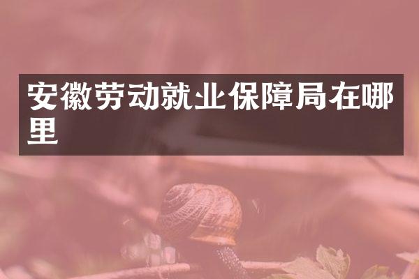 安徽劳动就业保障局在哪里