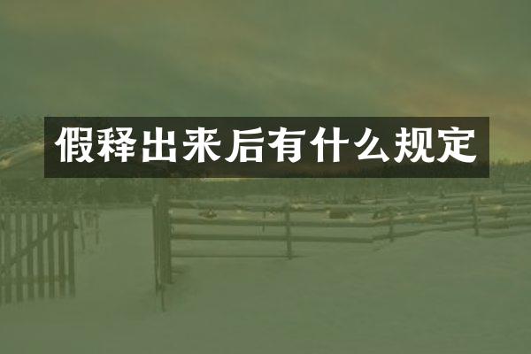 假释出来后有什么规定