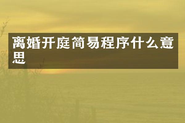 离婚开庭简易程序什么意思