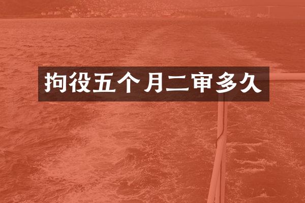 拘役五个月二审多久