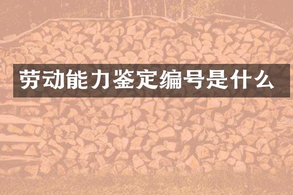 劳动能力鉴定编号是什么