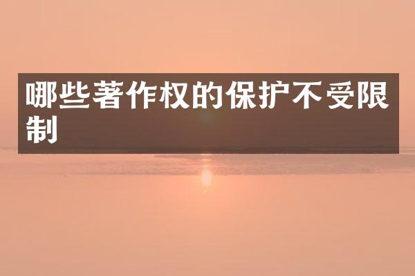 哪些著作权的保护不受限制