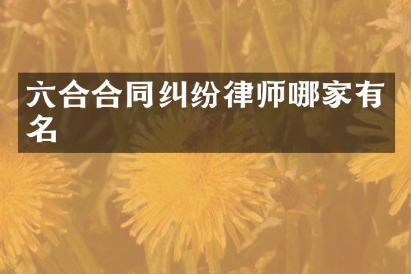 六合合同纠纷律师哪家有名