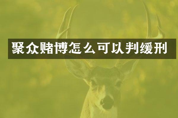 聚众怎么可以判缓刑