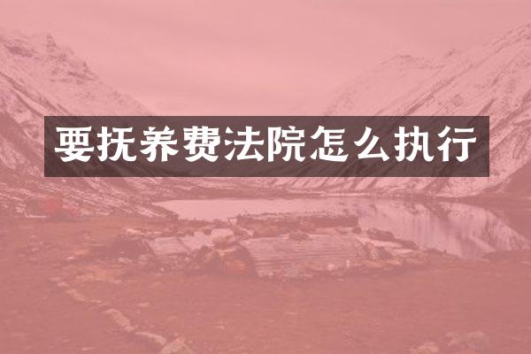 要抚养费法院怎么执行