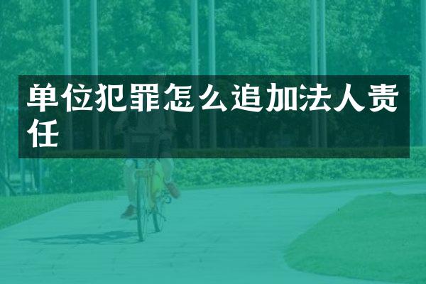 单位犯罪怎么追加法人责任