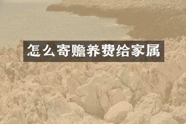 怎么寄赡养费给家属