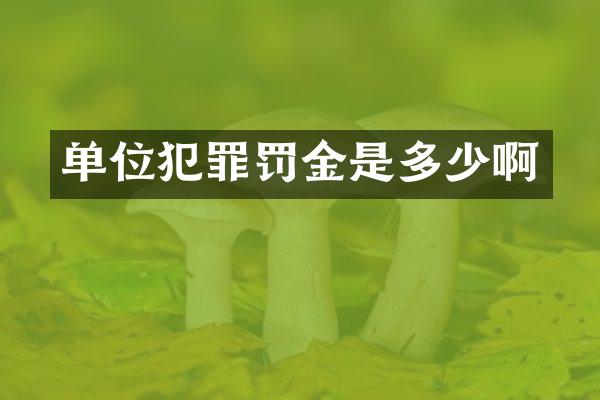 单位犯罪罚金是多少啊