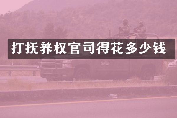 打抚养权官司得花多少钱