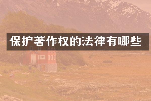 保护著作权的法律有哪些