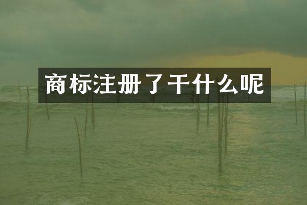 商标注册了干什么呢
