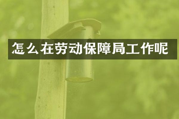 怎么在劳动保障局工作呢