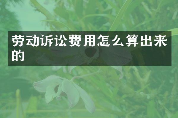 劳动诉讼费用怎么算出来的