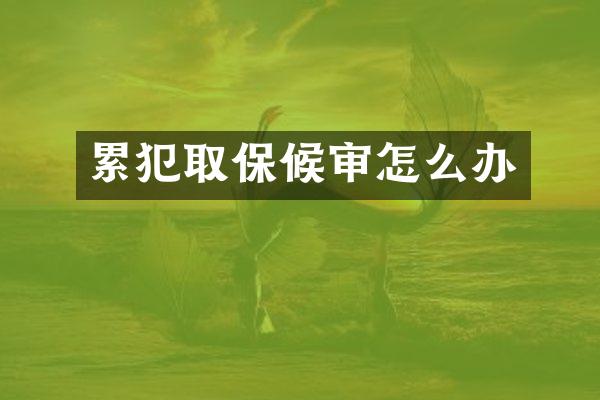 取保候审怎么办