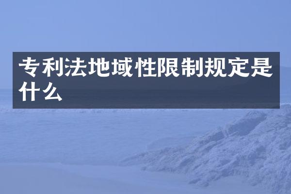 专利法地域性限制规定是什么