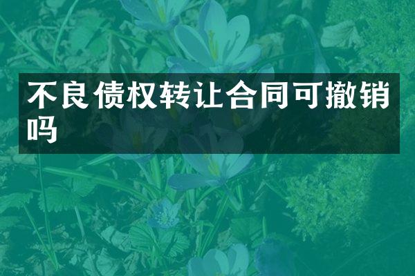不良债权转让合同可撤销吗