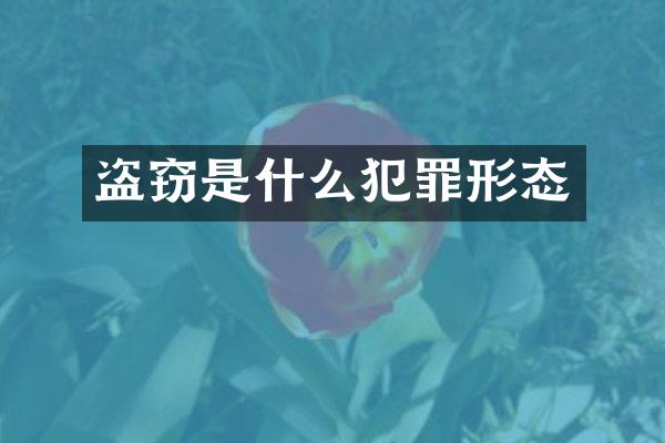 盗窃是什么犯罪形态