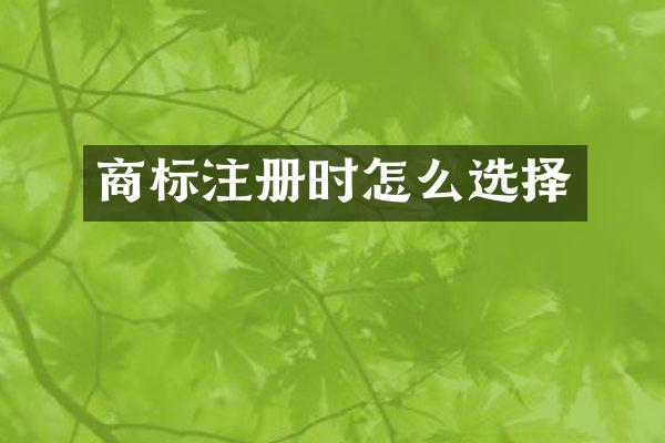 商标注册时怎么选择