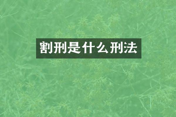 割刑是什么刑法