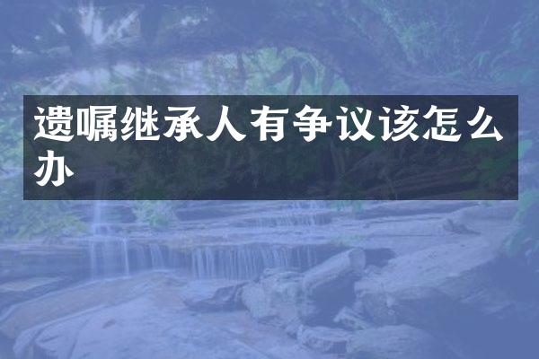 遗嘱继承人有争议该怎么办