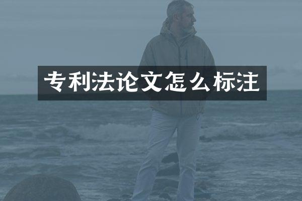 专利文怎么标注