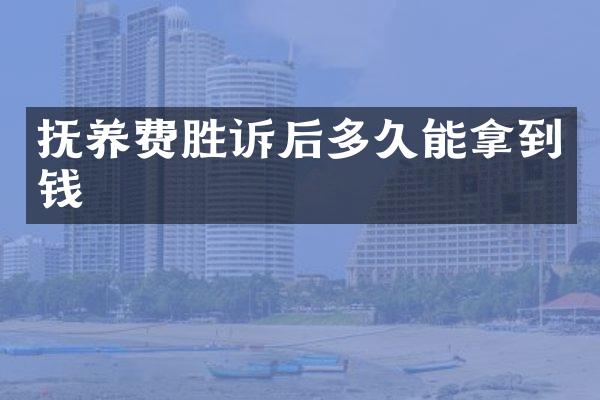抚养费胜诉后多久能拿到钱