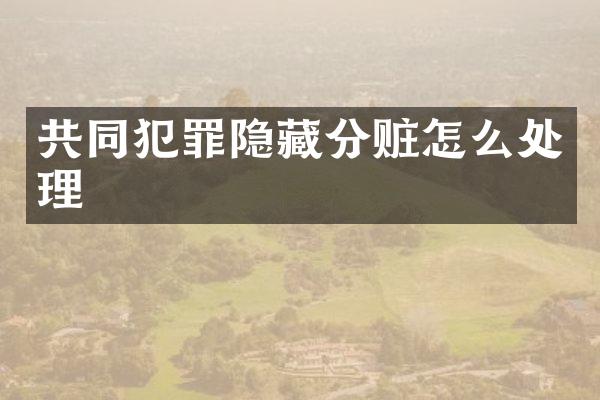共同犯罪隐藏分赃怎么处理