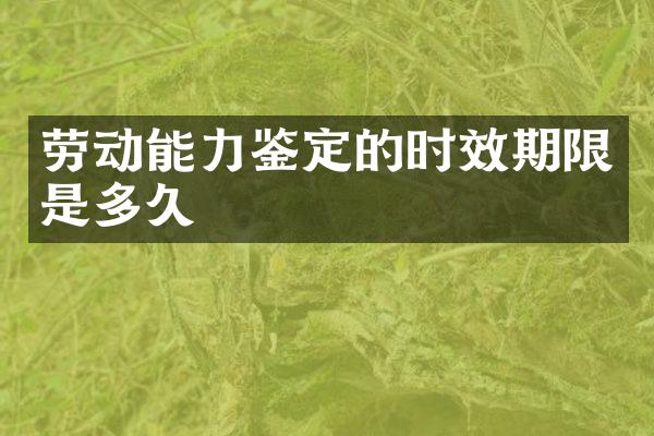 劳动能力鉴定的时效期限是多久