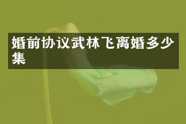 婚前协议武林飞离婚多少集