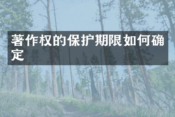 著作权的保护期限如何确定