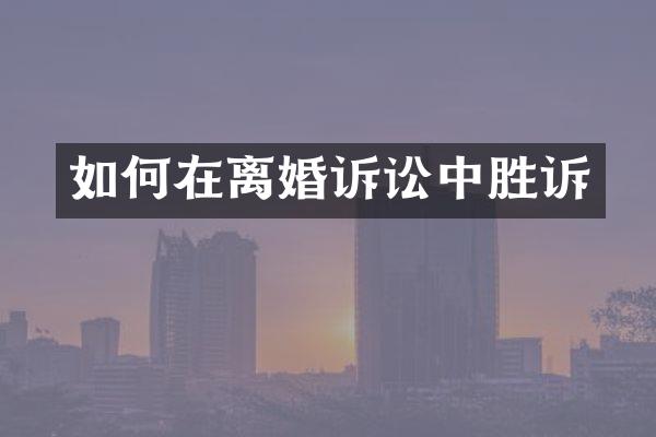 如何在离婚诉讼中胜诉
