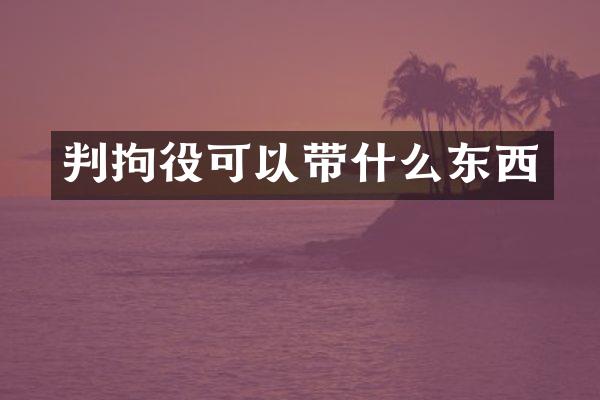 判拘役可以带什么东西