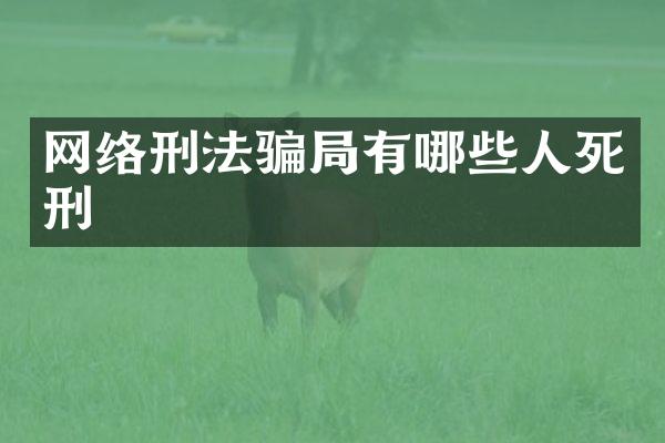 网络刑法骗局有哪些人死刑