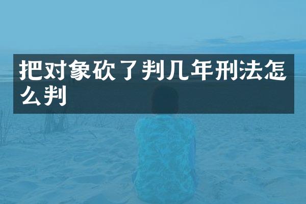 把对象砍了判几年刑法怎么判