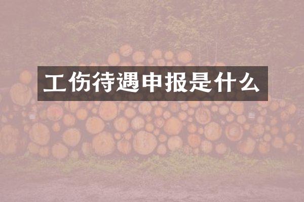 工伤待遇申报是什么