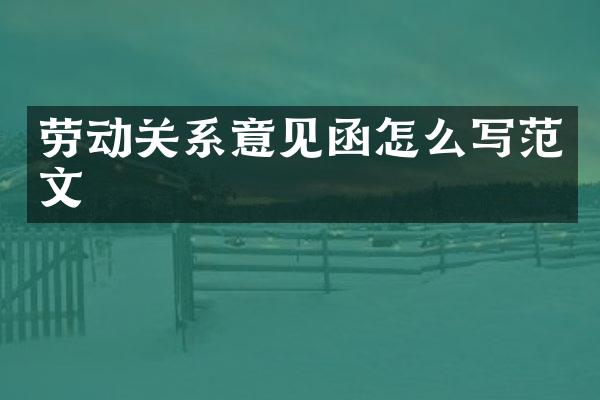 劳动关系意见函怎么写范文