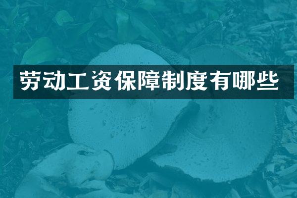 劳动工资保障制度有哪些