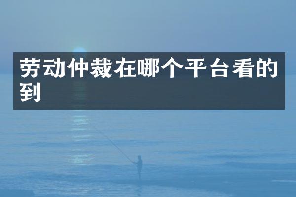 劳动仲裁在哪个平台看的到