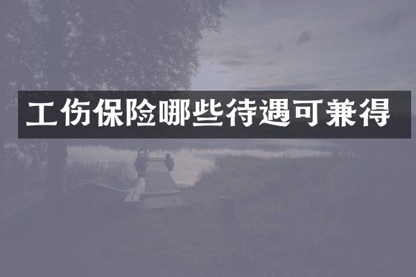 工伤保险哪些待遇可兼得