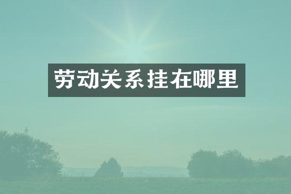 劳动关系挂在哪里