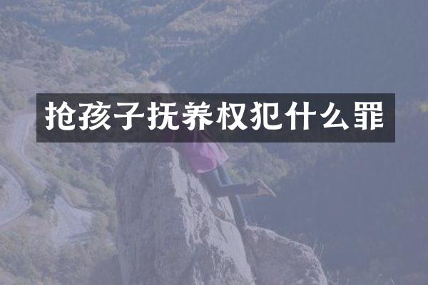 抢孩子抚养权犯什么罪