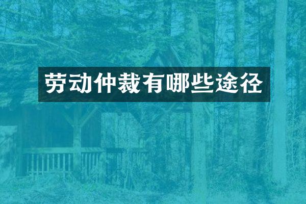 劳动仲裁有哪些途径