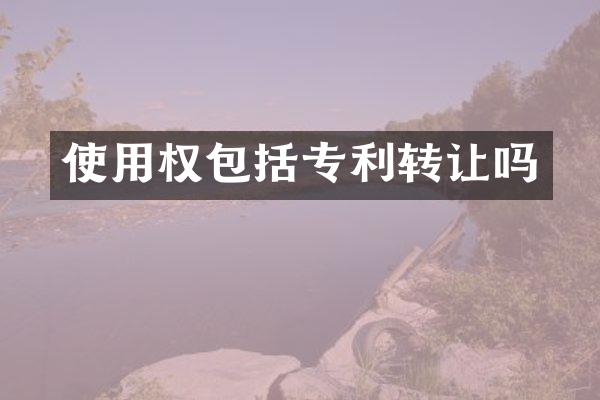 使用权包括专利转让吗