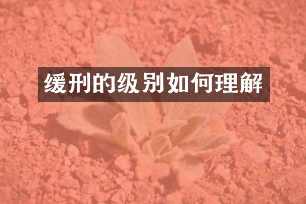 缓刑的级别如何理解